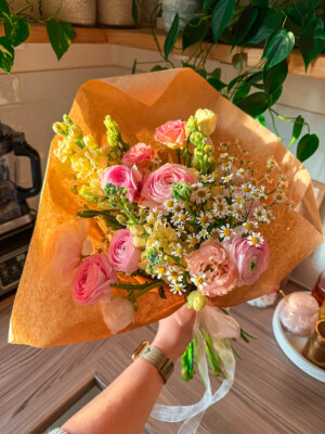 UGC Portfolio Content Creator How To